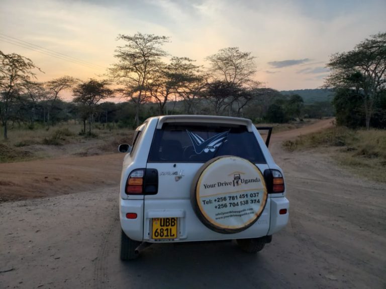 Longterm car rental 4x4 reliable car rental services